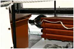 Achterdeck (Dampfschlepper Claus D.)