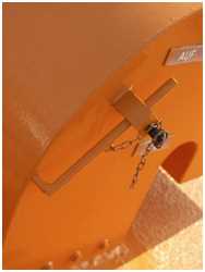 Dach (Lotsenboot Schnatermann)