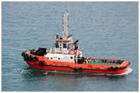 Schlepper Pawlina