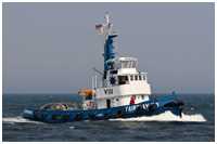 Schlepper Fairplay VIII