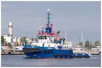 Schlepper Fairplay 31