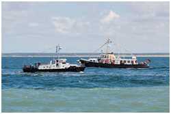Schleppboot Seebär
