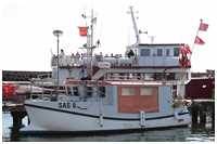 Fischkutter Stint II (Bild: Dirk Schütz)