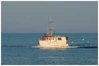 Fischkutter Moby Dick