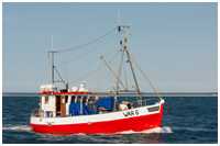 Fischkutter Prerow
