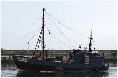 17-Meter-Kutter Vereinigung (Bild: Dirk Schütz)