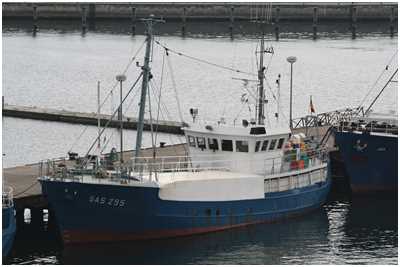 Fischkutter Blauwal (Bild: Dirk Schütz)