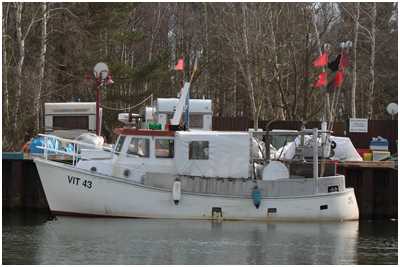 Fischkutter Inge (Bild: Dirk Schütz)