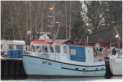 Fischkutter Karin (Bild: Dirk Sch&uuml;tz)