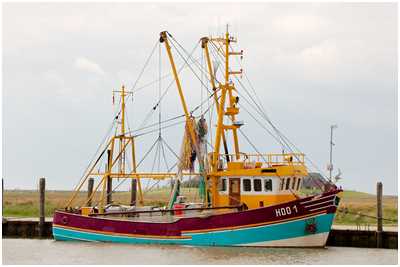 Krabbenkutter De Liekedeelers