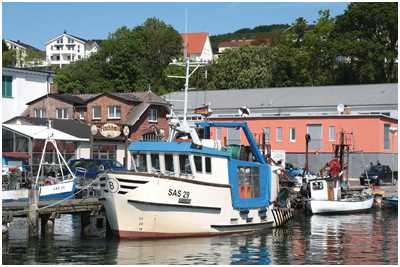 Fischkutter Petra B. (Bild: Dirk Sch&uuml;tz)