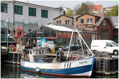 Fischkutter Rochel (Bild: Dirk Schütz)