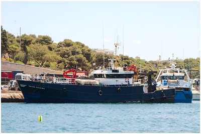Trawler Salve Regina