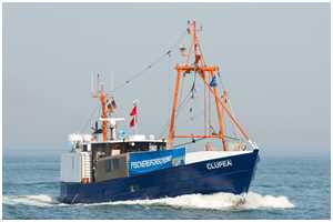 Fischereiforschungskutter Clupea