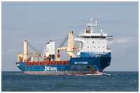 MS BBC Citrine
