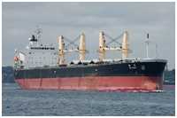 Bulk-Carrier Tai Hawk