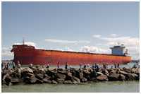 Bulk Carrier Jaguar Max