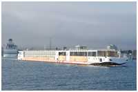MS Viking Magni