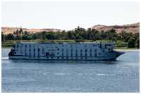 MS RA II