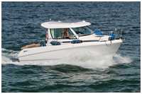 Starfischer 650 OBS