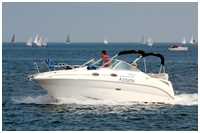 Sea Ray Motoryachten