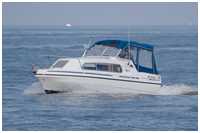 Viking 22