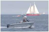 Warrior 175