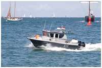 Nord Star 26
