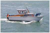 Varinat 606