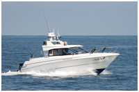 MV Marin 6600FC
