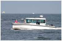 Axopar 28 Cabin