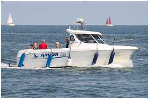 Arvor 25