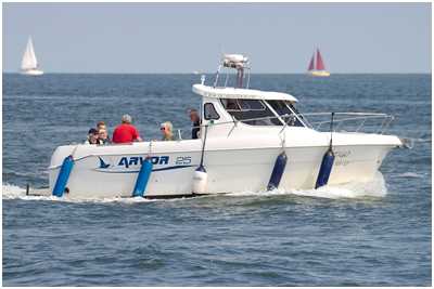 Arvor 25