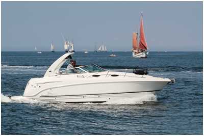 Chaparral 270