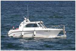 Finnmaster 6101 MC Cruiser