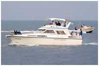 Princess 414