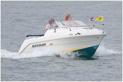 Quicksilver 520