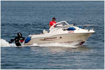 Quicksilver 540 Cruiser