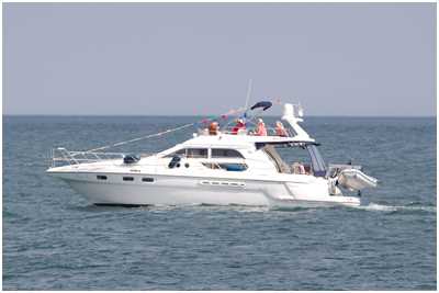 Sealine F44