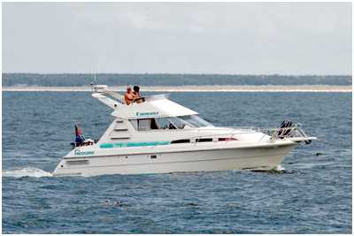 Tresfjord Ultra 310