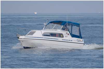 Viking 22
