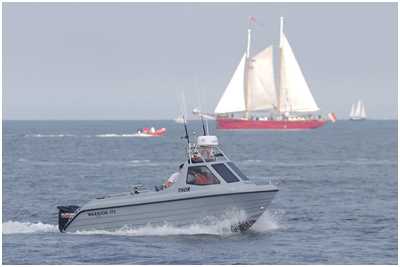 Warrior 175