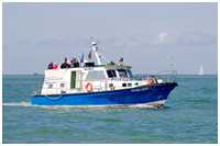 MBK Vagel Griep