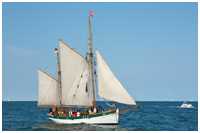 Haikutter-Regatta 2010