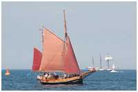 Haikutter-Regatta 2015