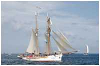 Haikutter-Regatta 2017