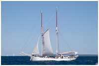 Logger Joanna Saturna