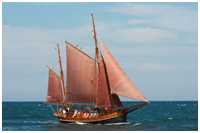 Haikutter Hanne-Marie