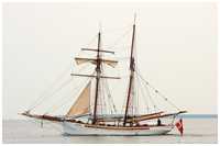 Haikutter Fiddlers Green