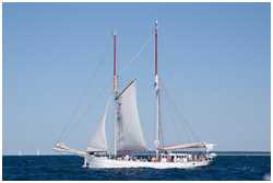 Logger Joanna Saturna